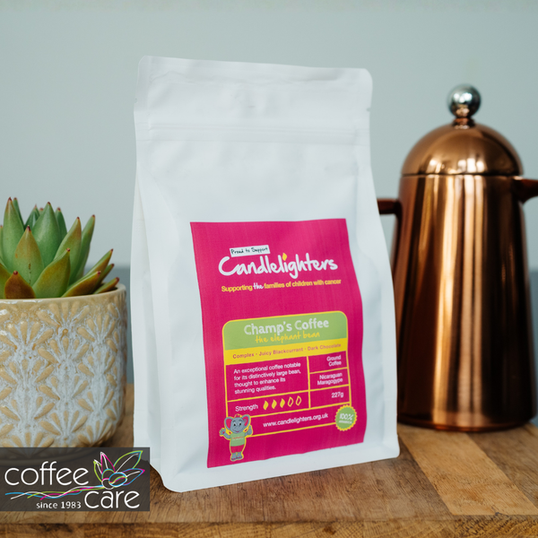 Champ's Coffee - Nicaraguan Maragogype Whole Beans